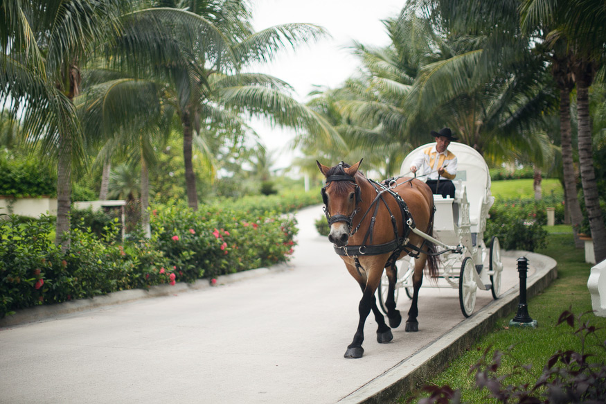 destination wedding photographer - nicole haley photography 11 destination wedding photographer - mexico weddings - nicole haley photography