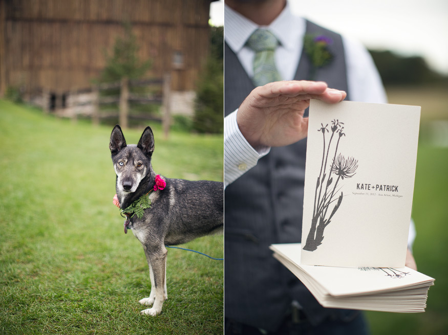 nicole haley photography - misty farm wedding, ann arbor