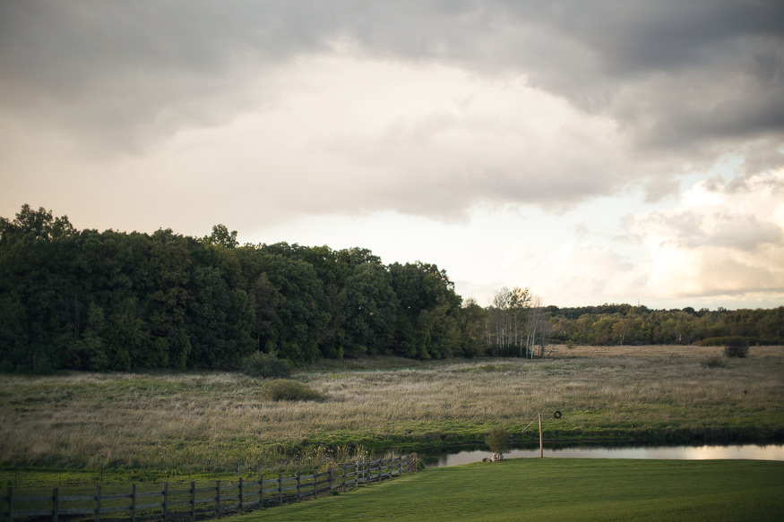 nicole haley photography - misty farm wedding, ann arbor