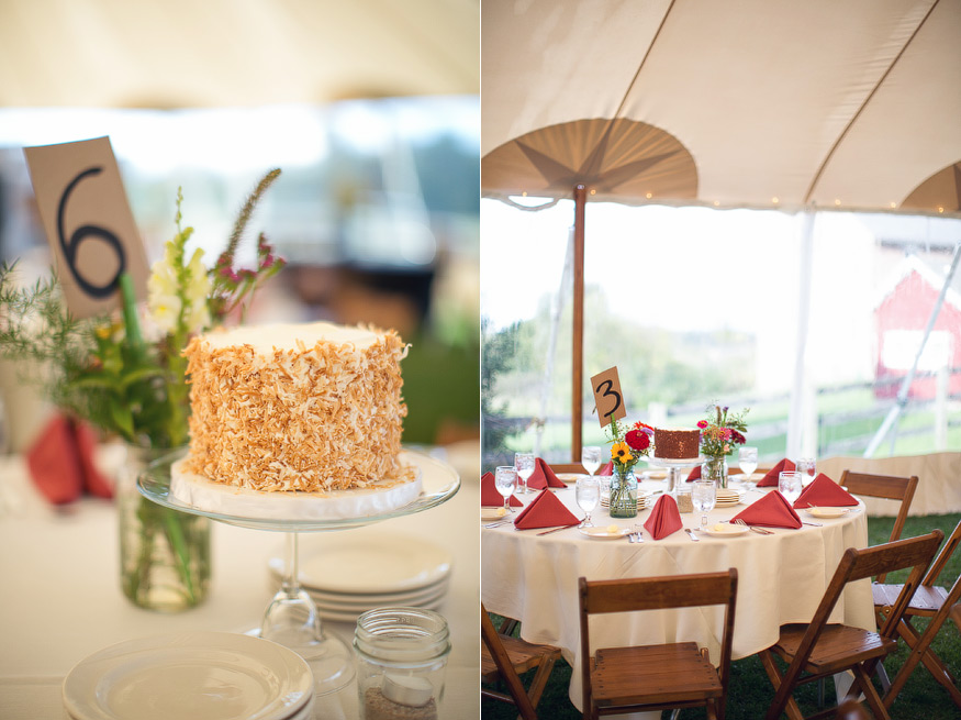 nicole haley photography - misty farm wedding, ann arbor