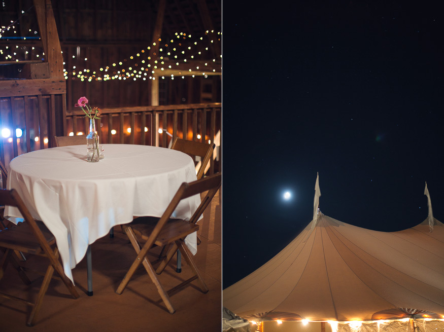 nicole haley photography - misty farm wedding, ann arbor