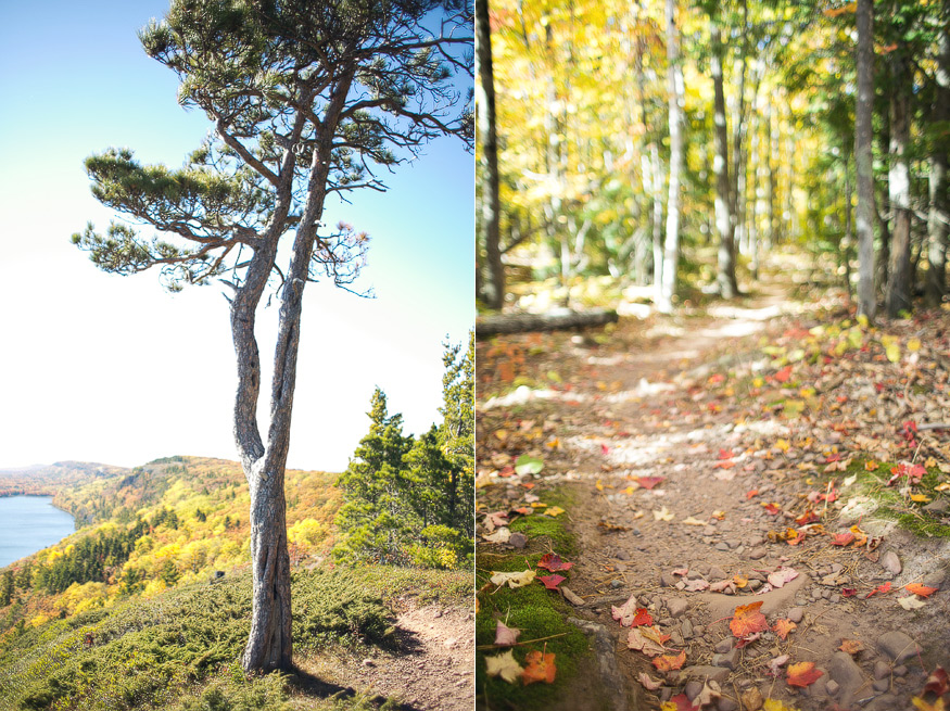 porcupine mountains state park - nicole haley photography 3 porcupine mountains state park - nicole haley photography - lake of the clouds - escarpment trail