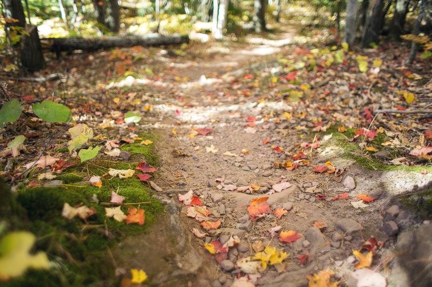 porcupine mountains state park - nicole haley photography 6 porcupine mountains state park - nicole haley photography - lake of the clouds - escarpment trail