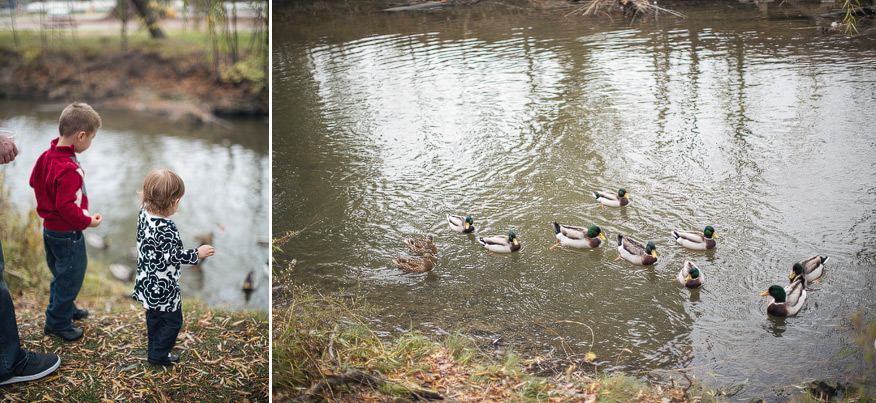 Dearborn Portrait Photography - Nicole Haley Photography