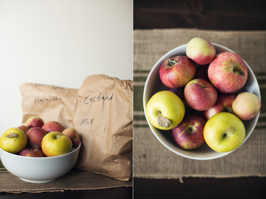 nicole haley photography - christmas cove farm nicole haley photography - christmas cove farm, northport, mi