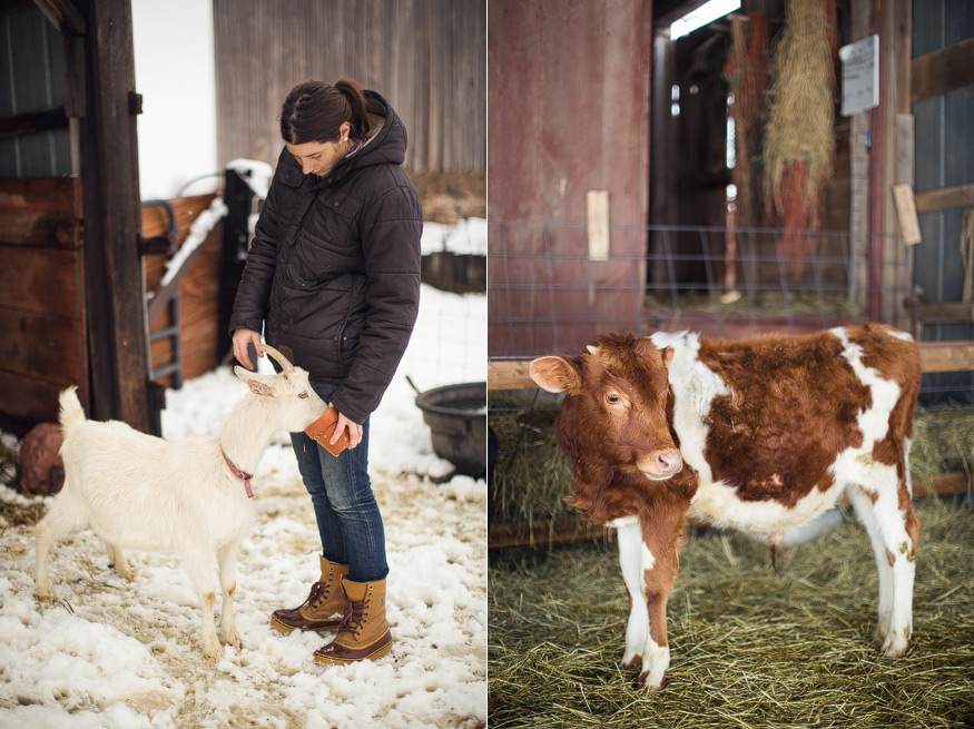 farm photography, farm to table