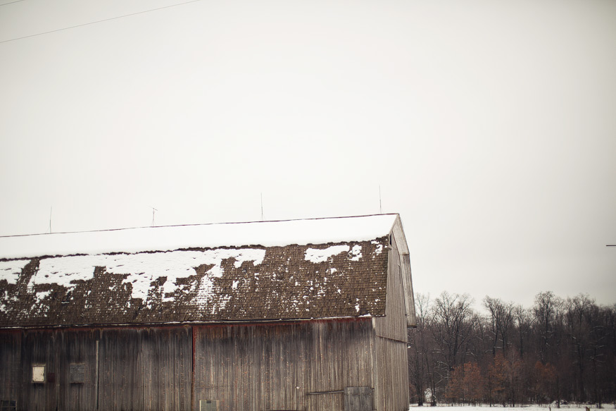 farm photography, farm to table