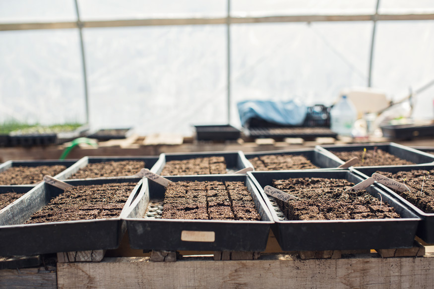 Honest Eats Farm at Tilian Farm Development Center | www.nicolehaley.com