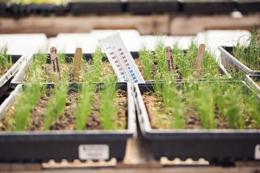 Honest Eats Farm at Tilian Farm Development Center | www.nicolehaley.com