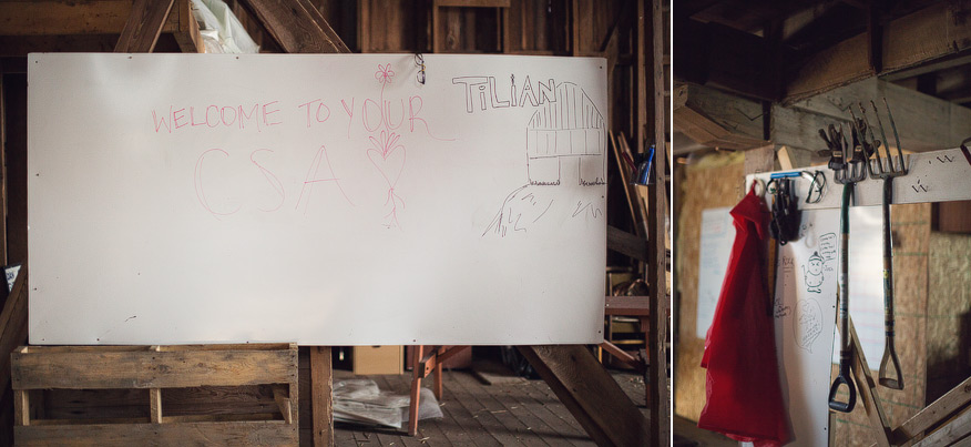 Honest Eats Farm at Tilian Farm Development Center | www.nicolehaley.com