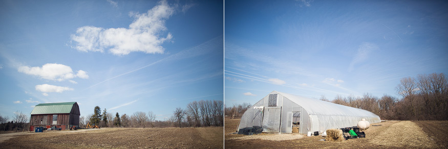 Honest Eats Farm at Tilian Farm Development Center | www.nicolehaley.com