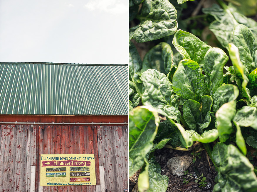 Honest Eats Farm at Tilian Farm Development Center | www.nicolehaley.com